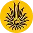 شرکت عصر مجازی
